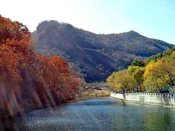 澳门一肖一码一待一中，岳池seo建站